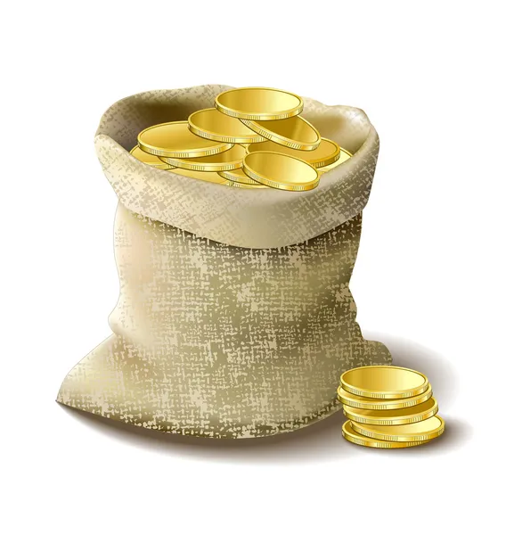 Sac avec argent doré — Image vectorielle