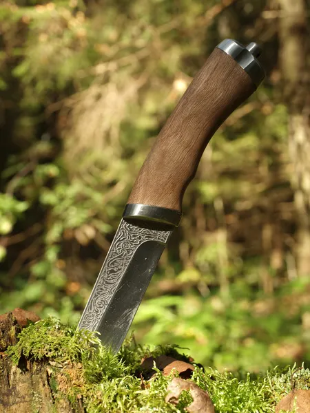 Noże stalowe z drewnianą rączką tkwi w starym pniu w drewnie — Zdjęcie stockowe