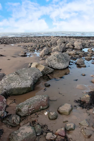 Gri plaj kayalar — Stok fotoğraf