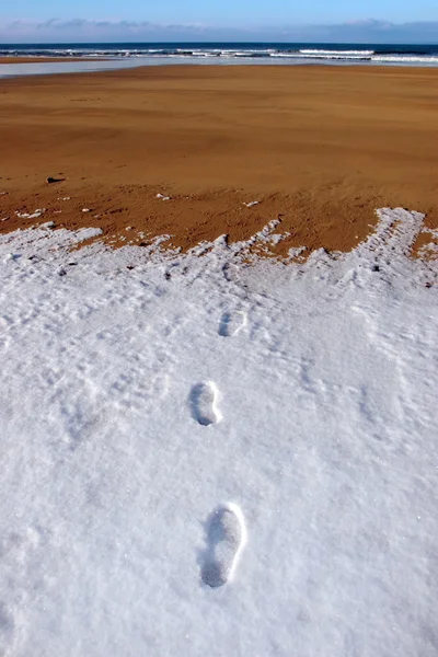 Four footprints in snow on empty beach on a cold winters day — Stock Photo, Image