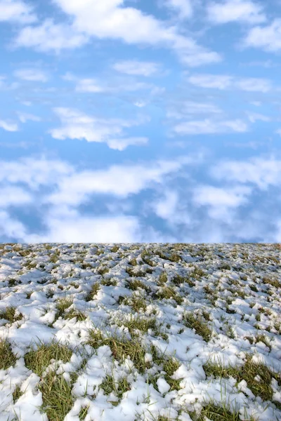 Cielo nuvoloso blu sopra l'erba verde coperta di neve — Foto Stock