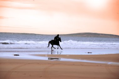 Silhouette of a horse and rider galloping along shore clipart