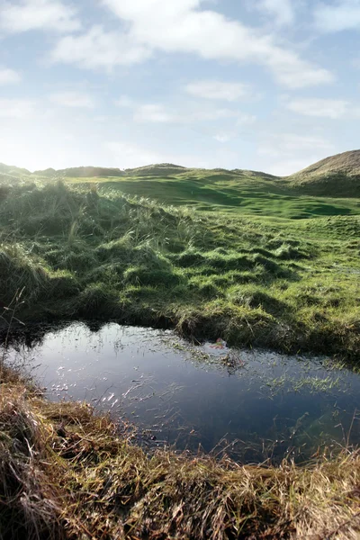 Links golf course water trap — Stock Photo, Image