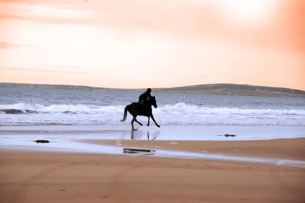 Sylwetka konia i jeźdźca galopujący wzdłuż brzegu — Zdjęcie stockowe