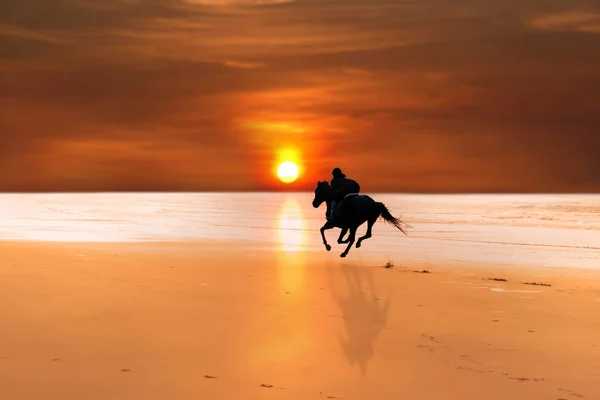 Silhouette of a horse and rider galloping — Stock Photo, Image