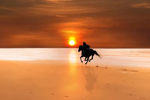 Silhouette d'un cheval et cavalier galopant Images De Stock Libres De Droits