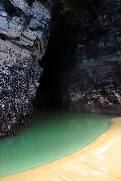 Fond zelené skálygröna cliff pool — Stockfoto