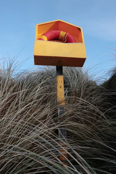 Lifebuoy entre grama selvagem longa — Fotografia de Stock