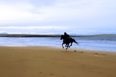 at ve binici sahil boyunca dörtnala