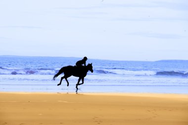 Horse and rider silhouette galloping along coast clipart