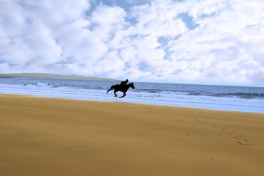 Horse and rider silhouette galloping along shore clipart