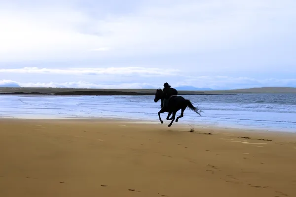 Kůň a jezdec cvalem podél pobřeží — Stock fotografie