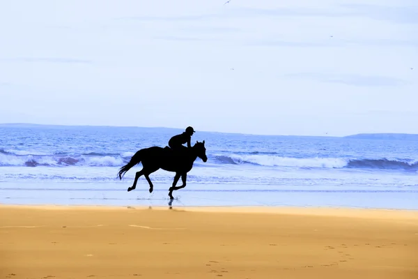 沿着海岸舞动的马和骑手剪影 — 图库照片