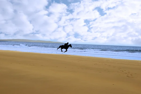 海岸に沿ってギャロッピングの馬およびライダーのシルエット — ストック写真