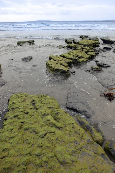 Green mud rocks — Stock Photo, Image