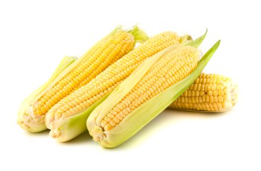 Ripe yellow corn clipart