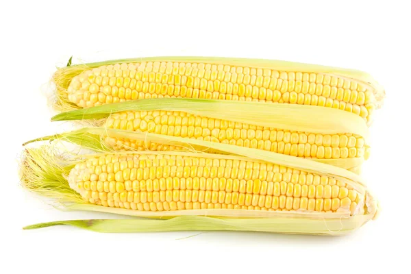 Tres maíz amarillo en la mazorca —  Fotos de Stock