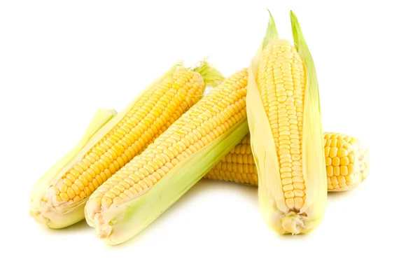stock image Yellow corn on the cob