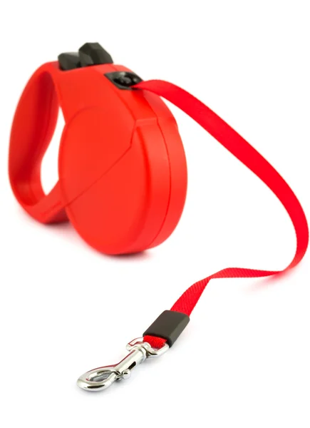 Red retractable leash for dog — Stock Photo, Image