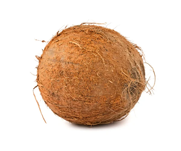 Bruin harige kokosnoot — Stockfoto