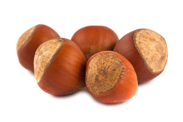 Five hazelnuts — Stock Photo, Image