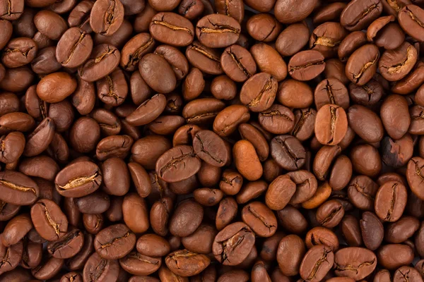 Hintergrund Kaffeebohnen — Stockfoto
