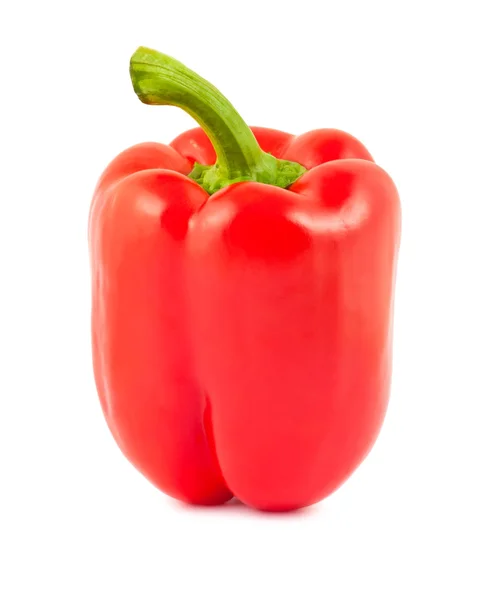 Λαμπερό κόκκινο πιπέρι — Φωτογραφία Αρχείου
