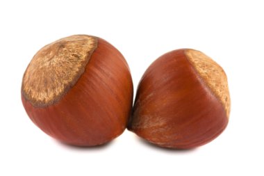 Pair of hazelnuts clipart