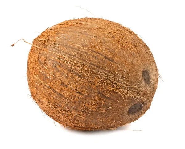Coco individual sobre fondo blanco — Foto de Stock