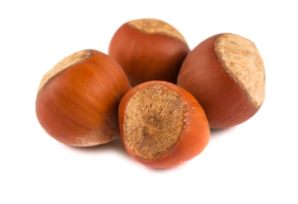 Four ripe brown hazelnuts — Stock Photo, Image
