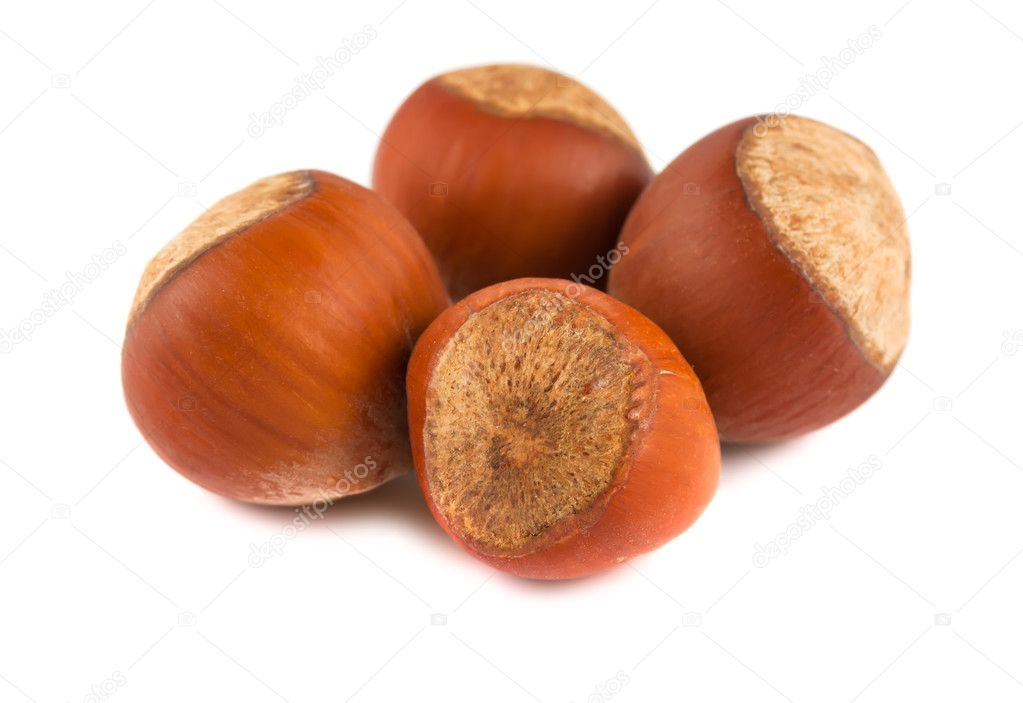 Four ripe brown hazelnuts