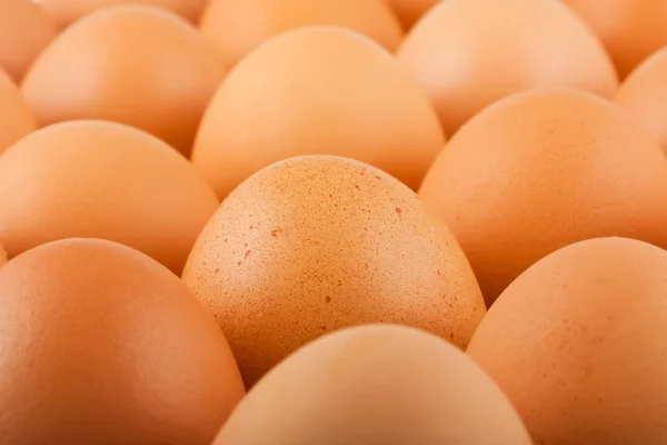 stock image Brown eggs