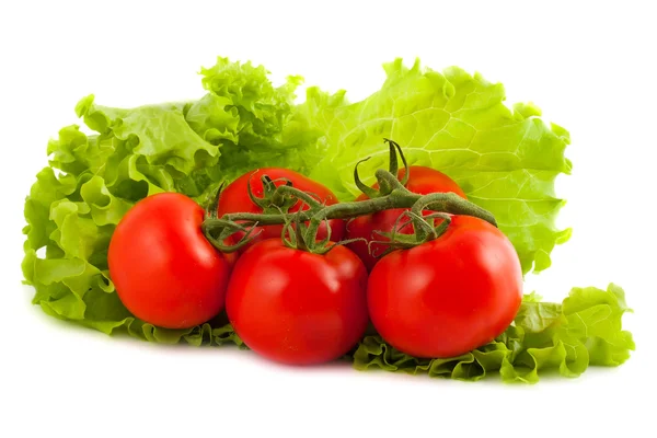 stock image Branch of tomatoes on salad leaf