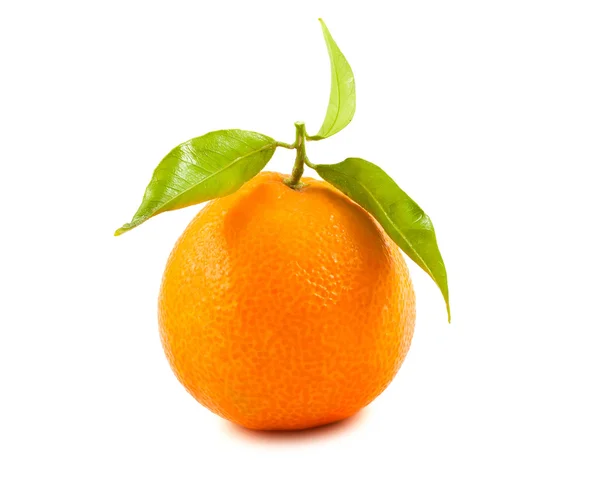 Ripe tangerine — Stock Photo, Image