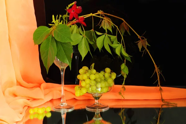 Виноградники, виноград і завіса — стокове фото