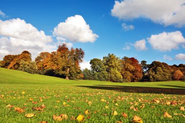 Beautiful Autumn in the Falkirk Park, Scotland clipart