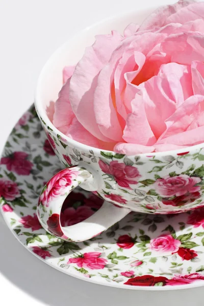 Рожева троянда в чаї — стокове фото