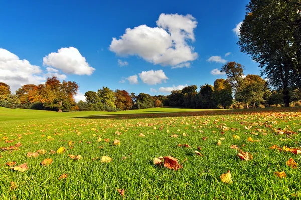 Schöner Herbst im Park. — Stockfoto