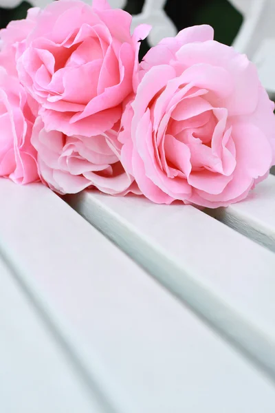 Rosas cor de rosa em um banco branco — Fotografia de Stock