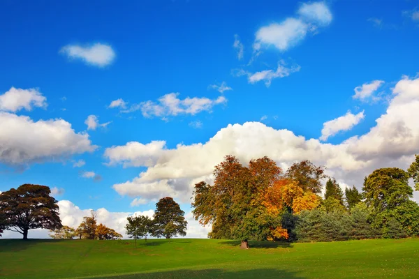 Beautiful Autumn in the Falkirk Park, Scotland — Stock Photo, Image