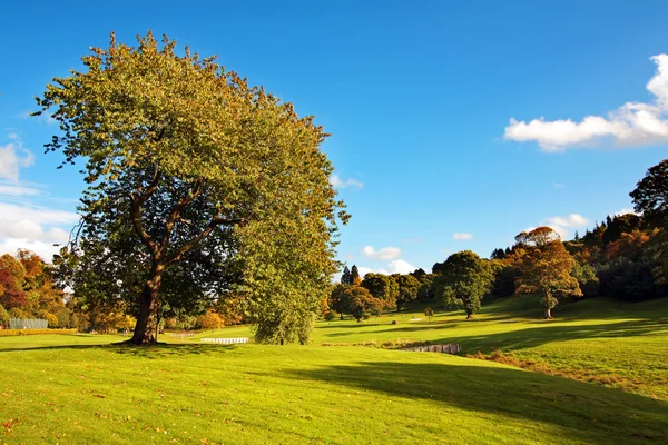 フォルカーク公園、スコットランドの美しい秋 — ストック写真