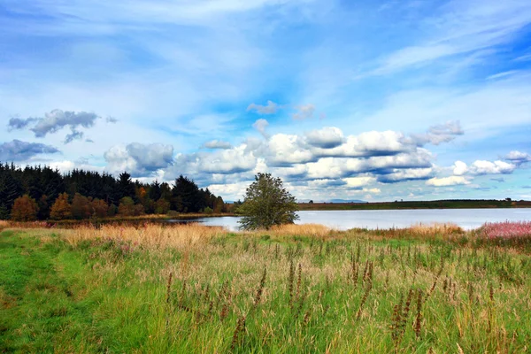 Сценический сельский пейзаж с озером — стоковое фото