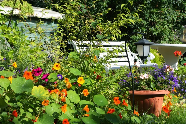 Beautiful Summer garden Stock Photo
