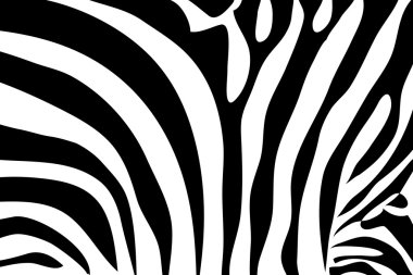 Zebra patterned background clipart