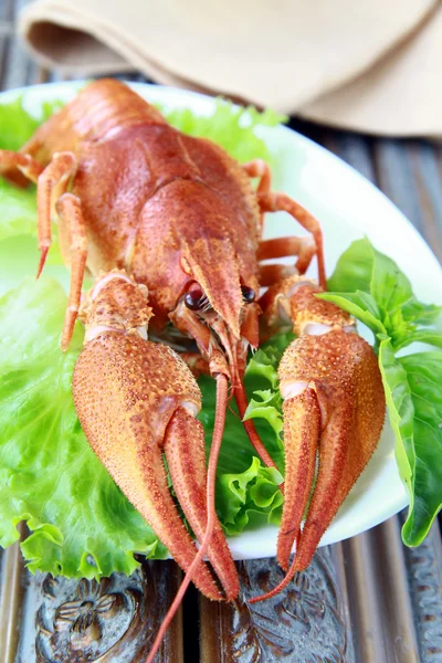 stock image Whole cooked lobster with salad garnish on a plate