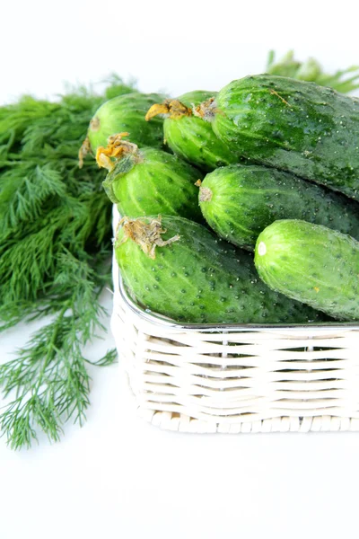 Harvest cucumbers and dill in a basket — Stock Photo, Image