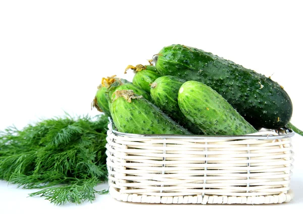 Oogst komkommers en dille in een mand — Stockfoto