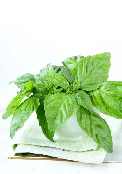 Green fresh basil in the glass on the table — Stock Photo, Image