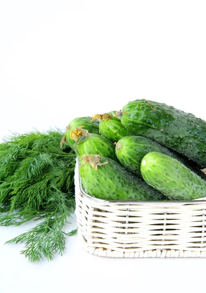 Oogst komkommers en dille in een mand — Stockfoto
