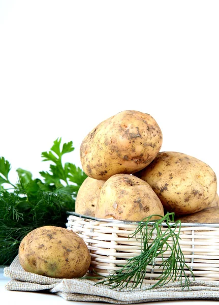 Basket of fresh organic potatoes — Stock Photo, Image
